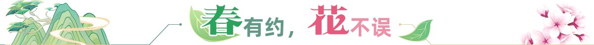 春有約，花不誤