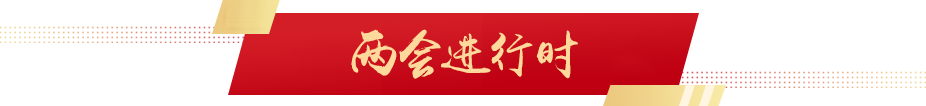 兩會進(jìn)行時(shí)